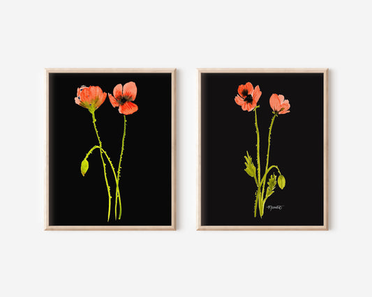 A Pair of Dancing Poppy Stems in Midnight