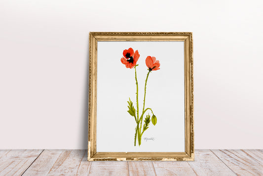 Dancing Poppy Stem in White No. 2