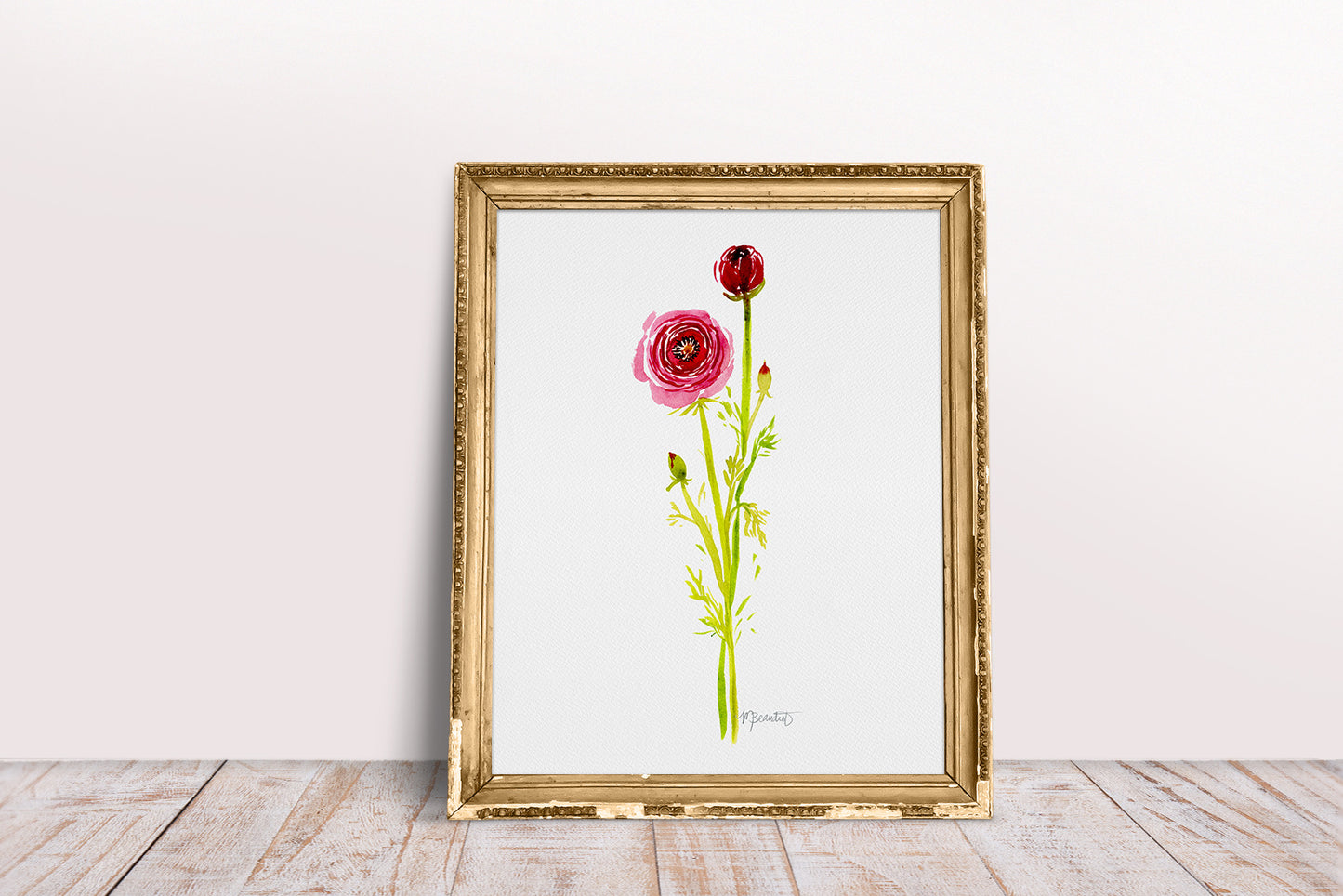Ranunculus Stems No. 1