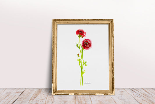 Ranunculus Stems No. 2