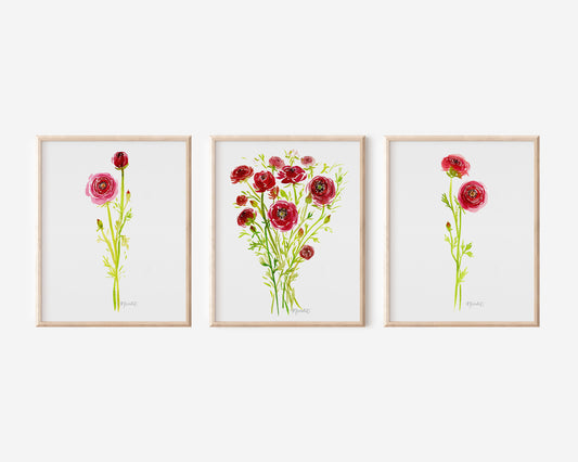 Ranunculus Flower Bundle: Set of 3 Prints