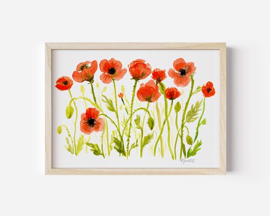 Crimson Poppy Field in White