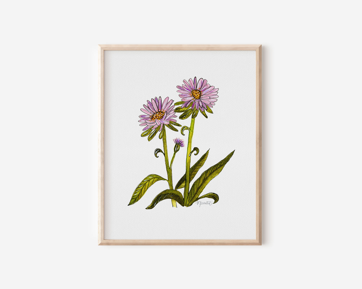 September Aster Flower Watercolor Birth Month Flower Botanical Art Print