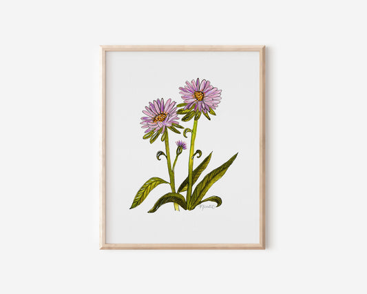 September Aster Flower Watercolor Birth Month Flower Botanical Art Print