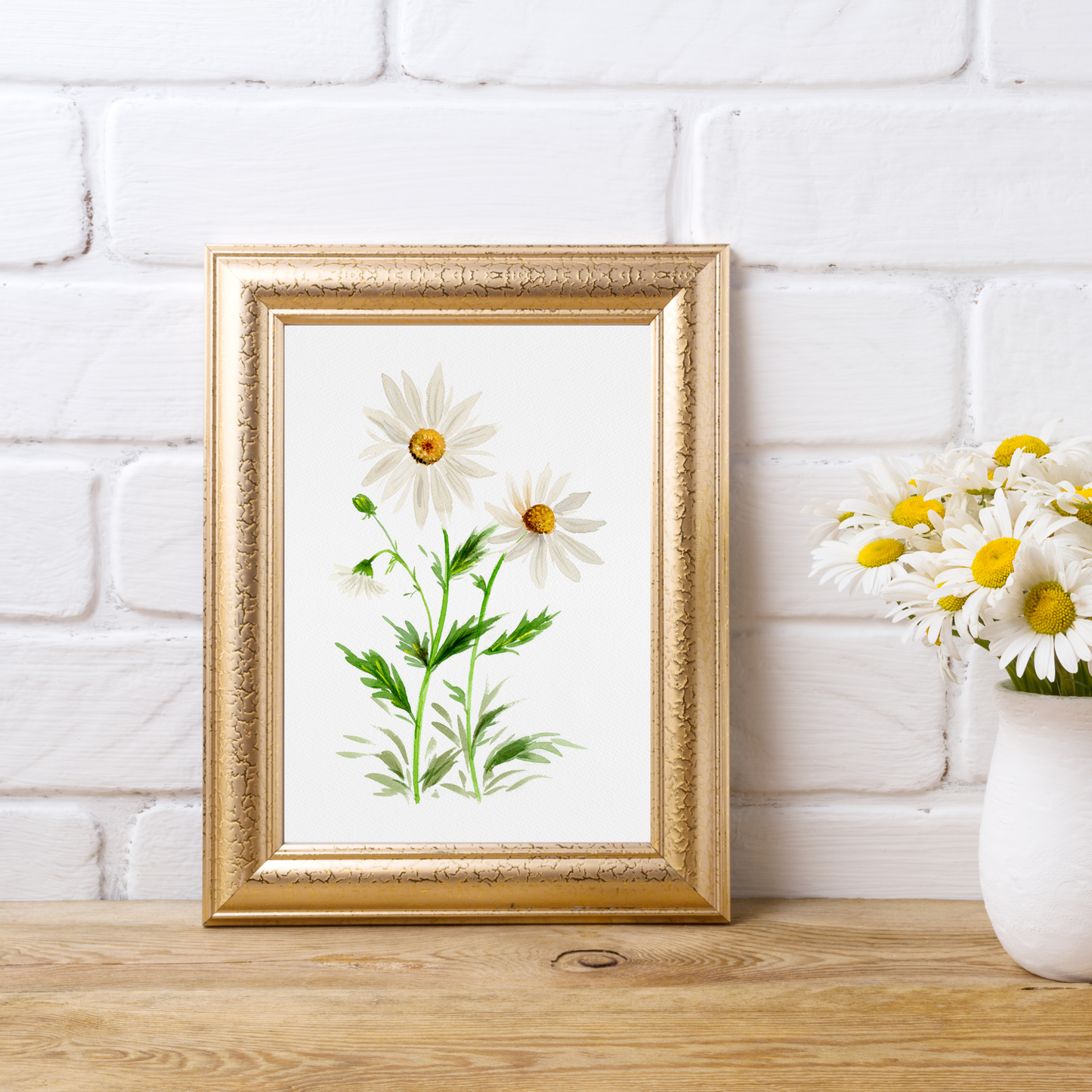 Wild Daisies Watercolor Art Print