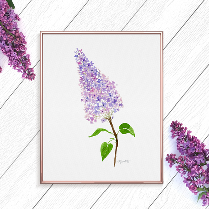 Lilac Watercolor Art Print