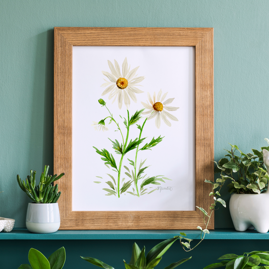 Wild Daisies Watercolor Art Print