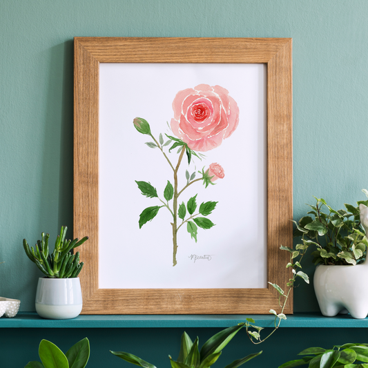 Blooming Roses Watercolor Art Print