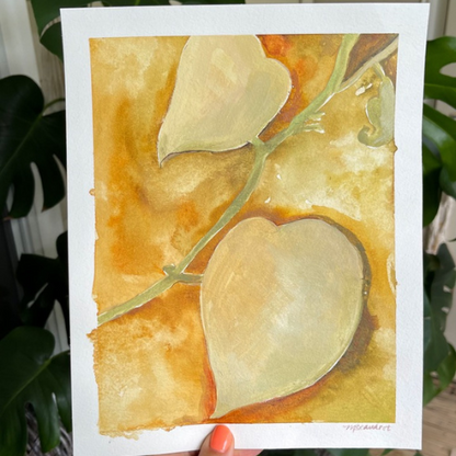 Botanical Studies on Ochre