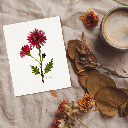 November Chrysanthemum Flower Watercolor Birth Month Flower Botanical Art Print