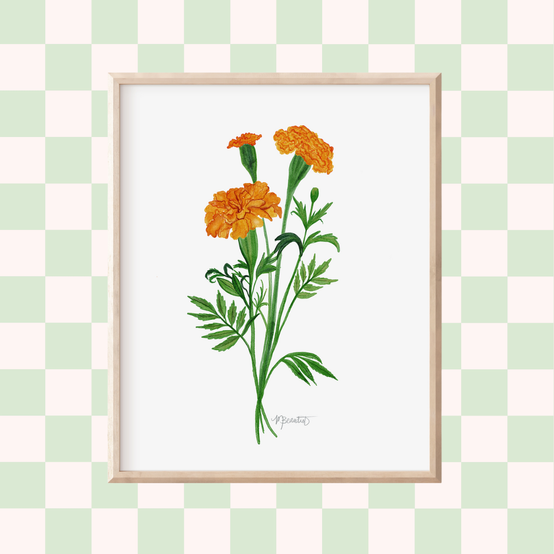 Marigold Watercolor Art Print