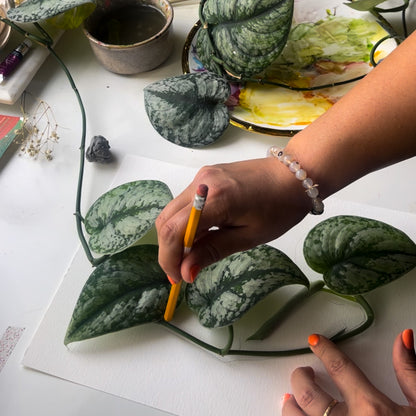 Botanical Studies in Blues and Green 2