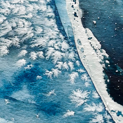 Botanical Studies in Blue