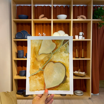 Botanical Studies in Ochre 1