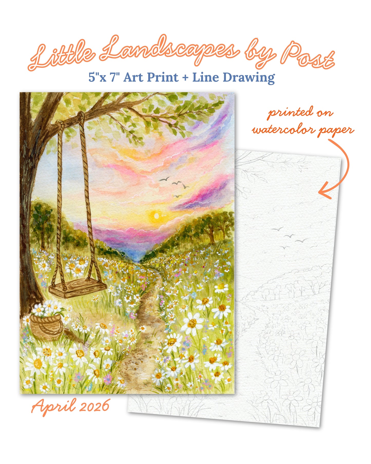 April Daisy Field 2026 Little Landscape