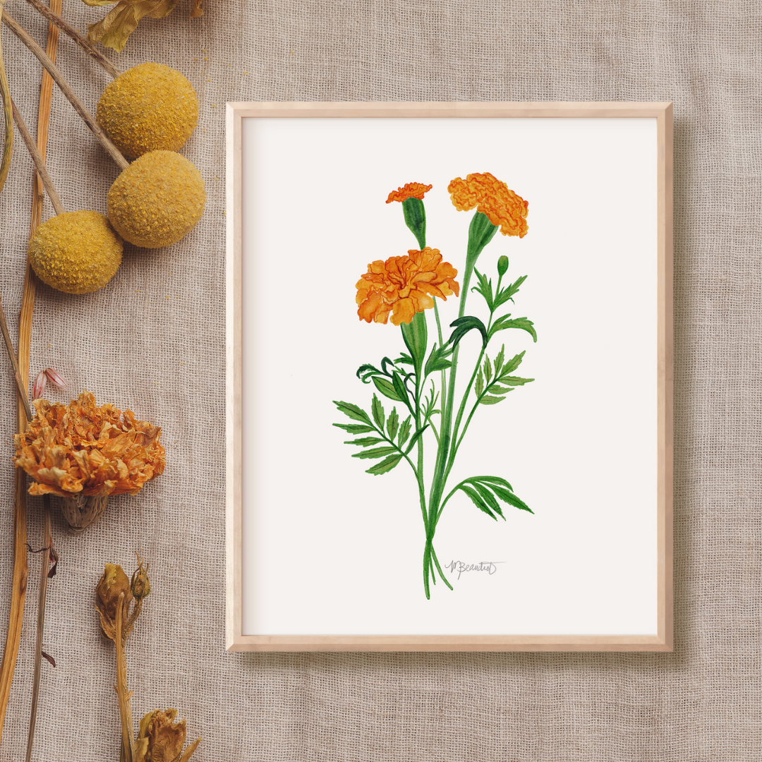 Marigold Watercolor Art Print