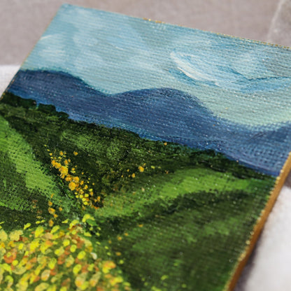 Valley of the Sun Painted Landscape