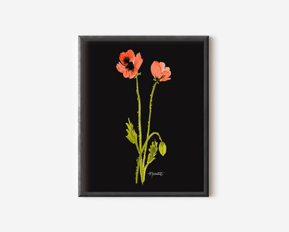 Dancing Poppy Stem in Midnight No. 2