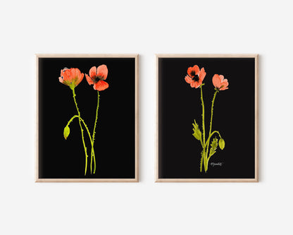 Dancing Poppy Stem in Midnight No. 2