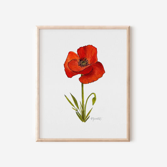 Watercolor Poppy Painting, Watercolor Poppy Art, Poppy Print, August Birth Flower Print, Baby Girl Nursery Art, Baby Shower Gift Poppy Decor
