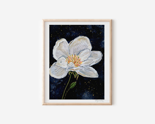 Midnight Magnolia Watercolor Art Print