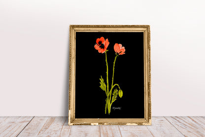 Dancing Poppy Stem in Midnight No. 2