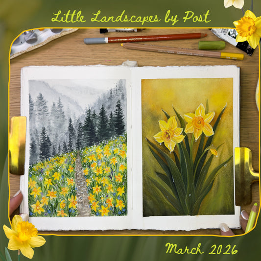 March Daffodils 2026 Little Landscape