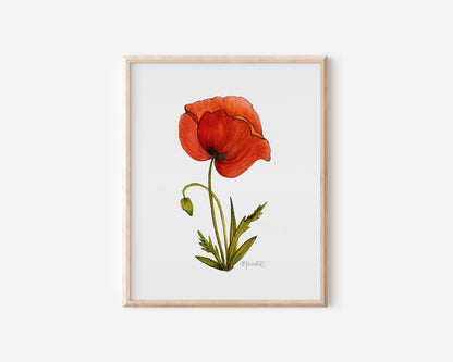 Poppy Birth Flowers Bundle