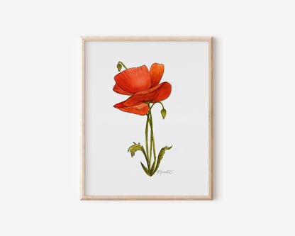 Poppy Birth Flowers Bundle