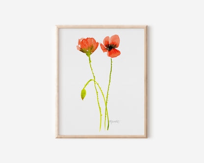 Loose Poppy Bundle: Set of 3 Watercolor Prints