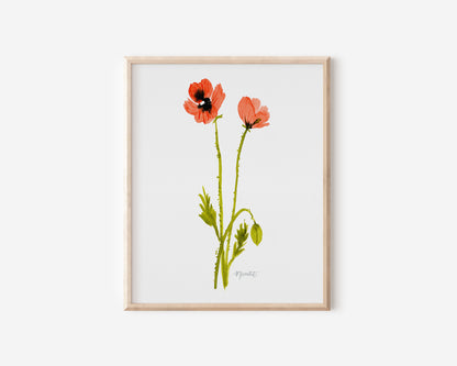Loose Poppy Bouquet with Dancing Stem No. 1: Set of 2 Prints