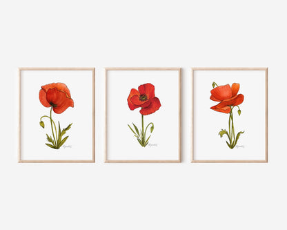 Poppy Birth Flowers Bundle