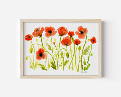 Crimson Poppy Field in White