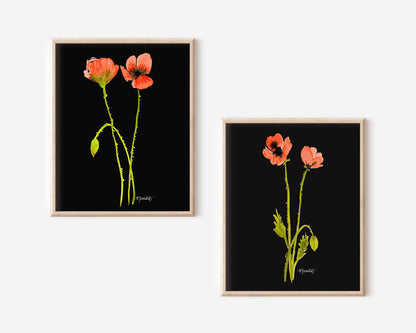 Dancing Poppy Stem in Midnight No. 2