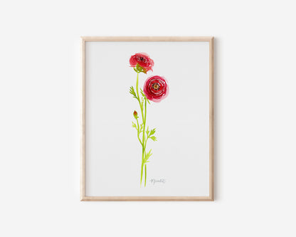 Ranunculus Stems No. 2