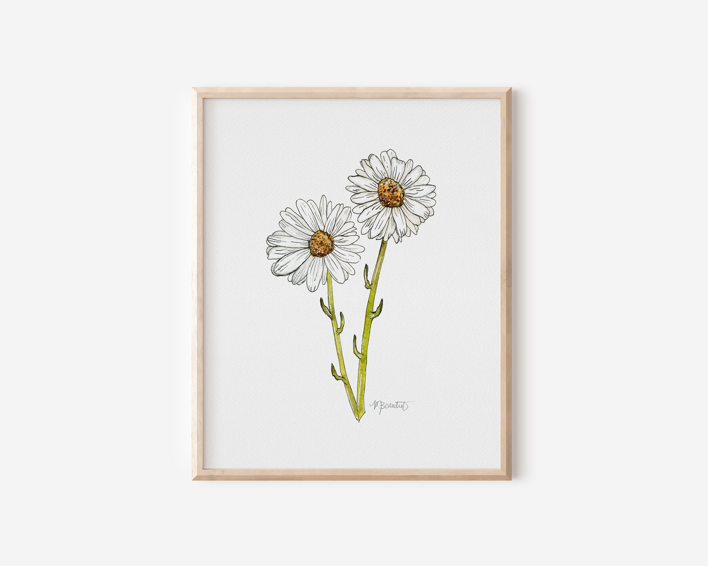 April Daisy Watercolor Birth Month Flower Botanical Art Print