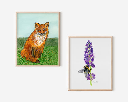 Sly Fox Watercolor Art Print