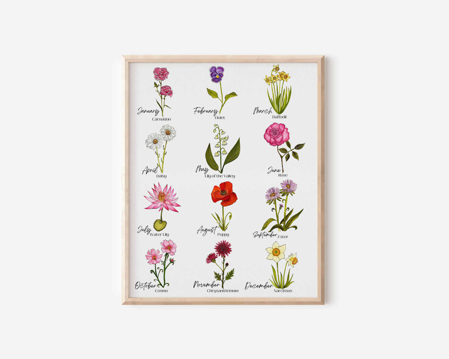January Carnation Watercolor Birth Month Flower Botanical Art Print