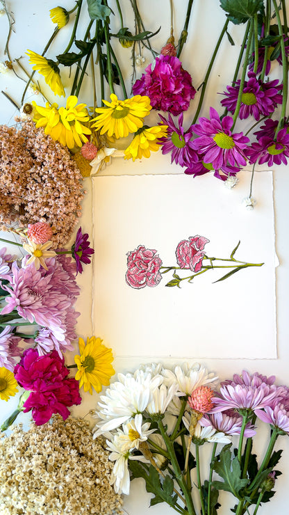 January Carnation Watercolor Birth Month Flower Botanical Art Print