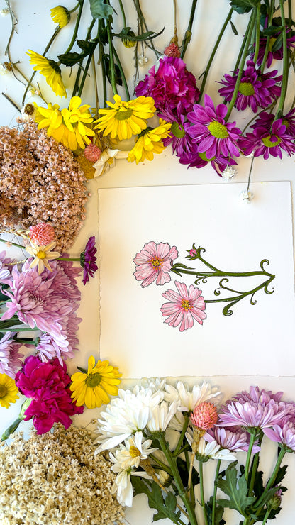 October Cosmos Flower Watercolor Birth Month Flower Botanical Art Print