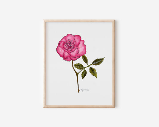 June Rose Watercolor Birth Month Flower Botanical Art Print
