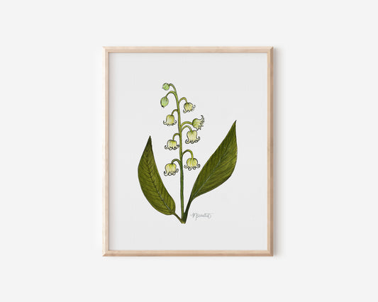 May Lily of the Valley Watercolor Birth Month Flower Botanical Art Print