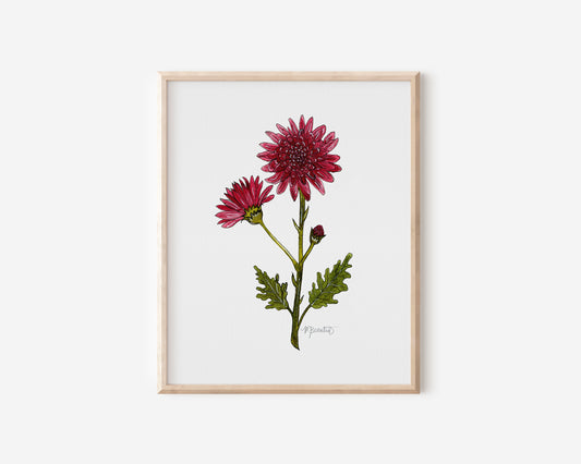 November Chrysanthemum Flower Watercolor Birth Month Flower Botanical Art Print