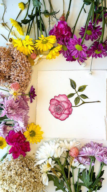 June Rose Watercolor Birth Month Flower Botanical Art Print