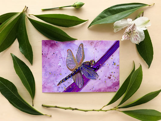 Violet Purple and Pink Dragonfly Watercolor Art Print
