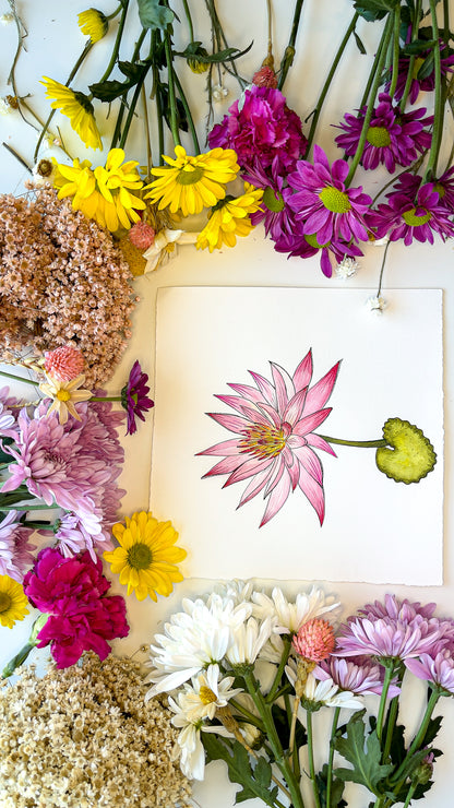 July Water Lily Watercolor Birth Month Flower Botanical Art Print